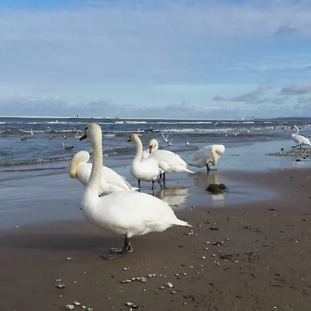 Apartmán Beach