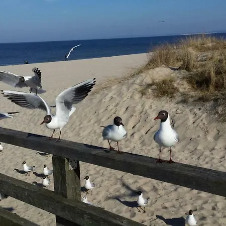 Beach Apartmán Svinoústí