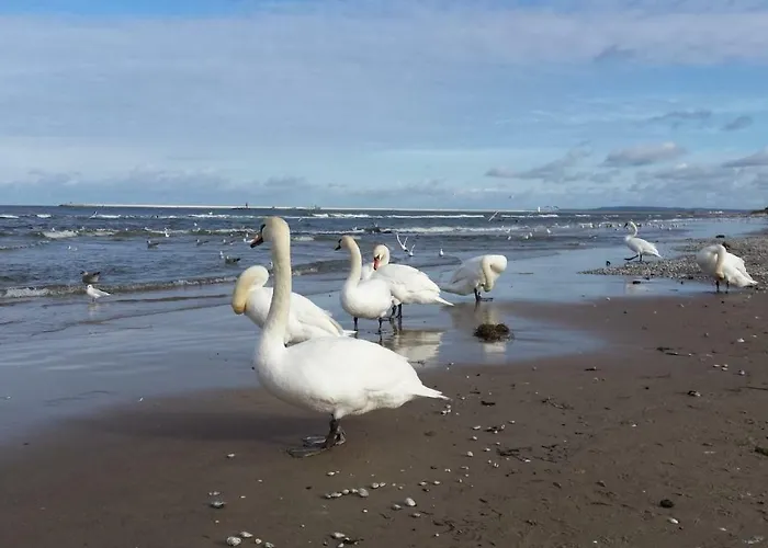 Διαμέρισμα Beach